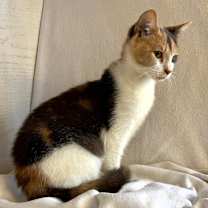 Thumbnail photo of Elaine #2