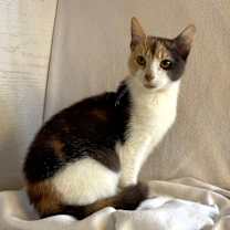 Thumbnail photo of Elaine #3