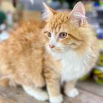 Thumbnail photo of Andy #1