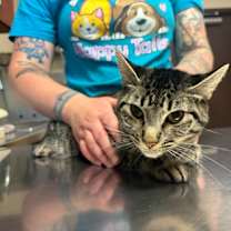 Thumbnail photo of Nutmeg #2