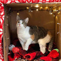 Thumbnail photo of Franchezka #1