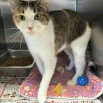 Thumbnail photo of Franchezka #2