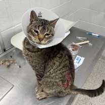 Thumbnail photo of Pretty #2