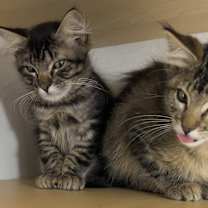 Thumbnail photo of May #2