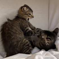 Thumbnail photo of May #3