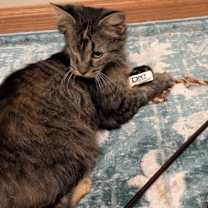 Thumbnail photo of Rain #3