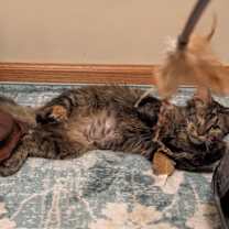 Thumbnail photo of Rain #4