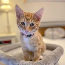 Thumbnail photo of Phillip #1