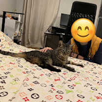 Thumbnail photo of Tiger #3