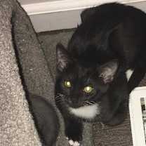 Thumbnail photo of Haley #2