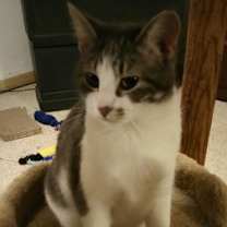 Thumbnail photo of Hannah (with Falin) #3