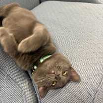 Thumbnail photo of Judy #1