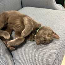 Thumbnail photo of Judy #2