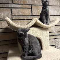 Thumbnail photo of Judy #3