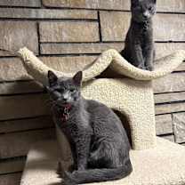 Thumbnail photo of Judy #4