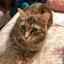 Thumbnail photo of Kelsey #2