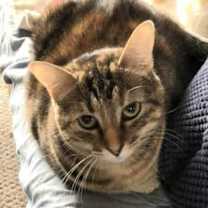 Thumbnail photo of Kelsey #3