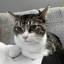 Thumbnail photo of Lilly #3