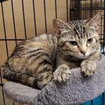 Thumbnail photo of Zina #1