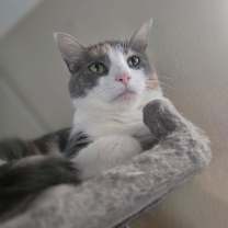 Thumbnail photo of Paris #4