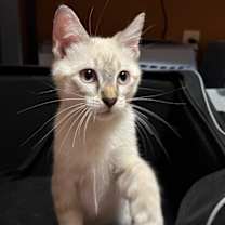 Thumbnail photo of Doc #1