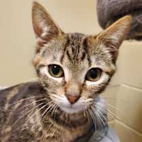 Thumbnail photo of Tony #3