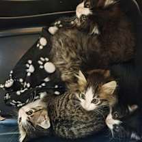 Thumbnail photo of Ghost #3