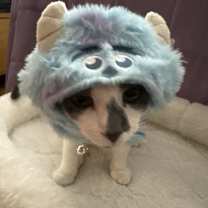 Thumbnail photo of Kanary #2