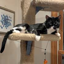 Thumbnail photo of Jackpot #1