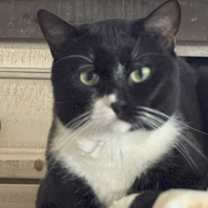 Thumbnail photo of Jackpot #2