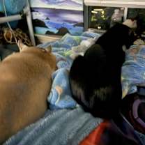 Thumbnail photo of Jackpot #3