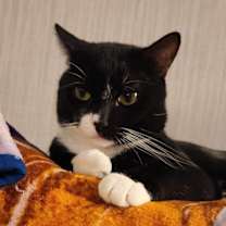 Thumbnail photo of Jackpot #4