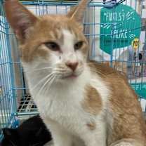 Thumbnail photo of Luke #2