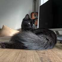 Thumbnail photo of Elbie #1