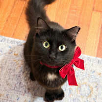 Thumbnail photo of Elbie #2