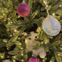 Thumbnail photo of Sushi #4