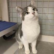 Thumbnail photo of Giant Peach #1