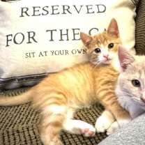 Thumbnail photo of Sugar #2