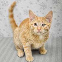 Thumbnail photo of Larry #2