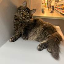 Thumbnail photo of Benoit #1