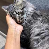 Thumbnail photo of Benoit #4