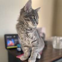 Thumbnail photo of No name #2