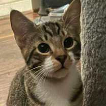 Thumbnail photo of Jackson meet me 12/0 #1