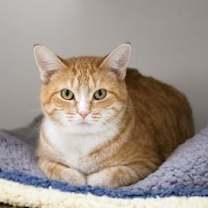 Thumbnail photo of Ice Spice #1