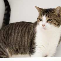 Thumbnail photo of Sis #2