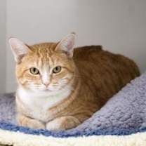 Thumbnail photo of Ice Spice #2