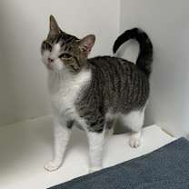 Thumbnail photo of Sis #3