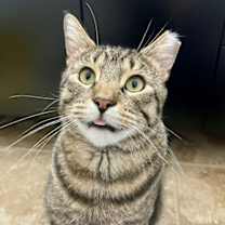 Thumbnail photo of Simon #4