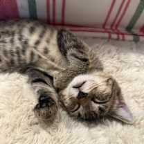 Thumbnail photo of Dolores #2