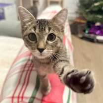 Thumbnail photo of Dolores #3